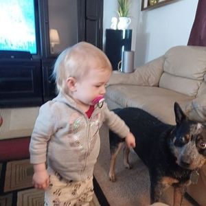 Meet your Posher, William